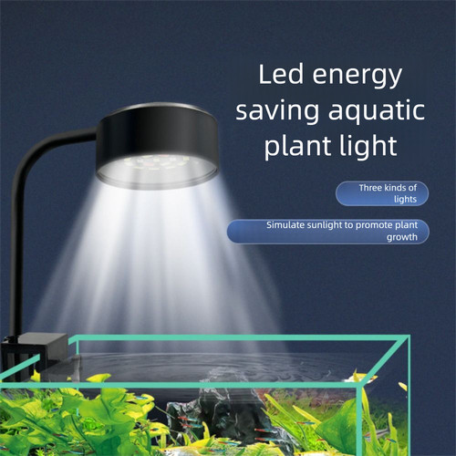 Lampada acquario clip - -on, 3