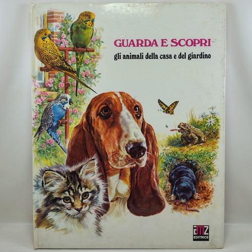 Guarda scopri gli - guarda,