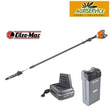 Potatore su asta seghetto a