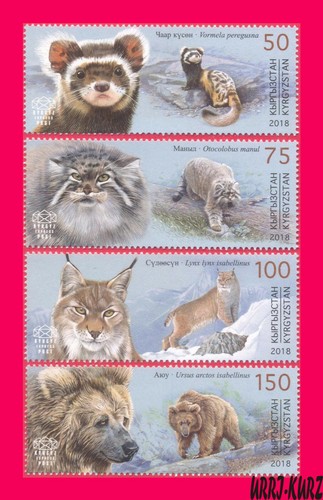 Kirghizistan 2018 natura fauna - kirghizistan,