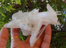 Campione Di Minerali Di