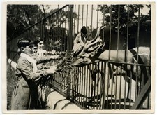 Fascism. Romano Mussolini on