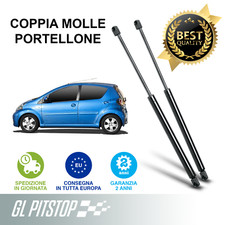 Coppia Molle a Gas Portellone