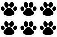 6x Sticker adesivi adesivo