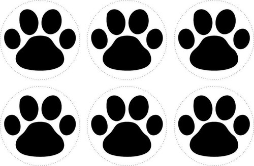 Sticker adesivi adesivo - 6x,