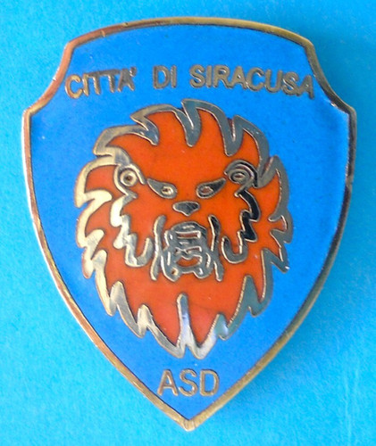 Distintivo spilla pin badge - distintivo,