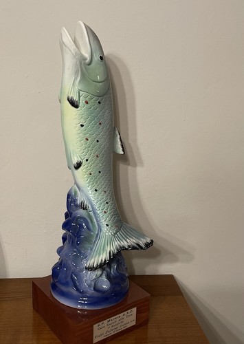 Trofeo pesca trota - trofeo, in