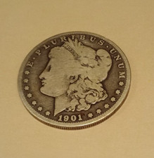 dollaro argento 1901