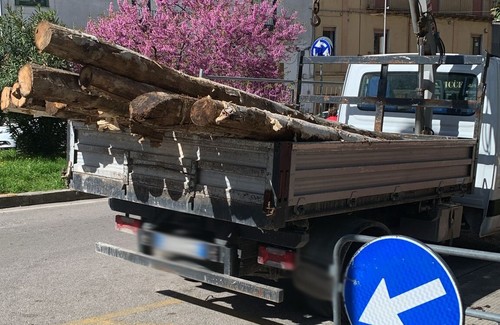Travi portanti legno - travi, in