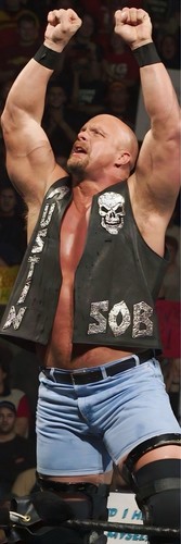 Banner vinile wwe aew tna - wwe,