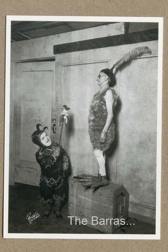 Koo uccellino donne e - l'uccellino,
