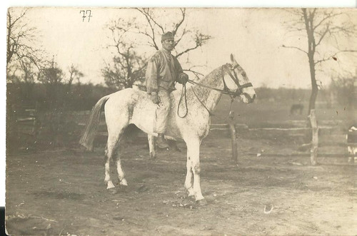 Militari soldato cavallo - -, a