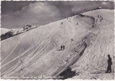 PIAZZATORRE - BERGAMO - CAMPI DI SCI SUL TORCOLA -84288-