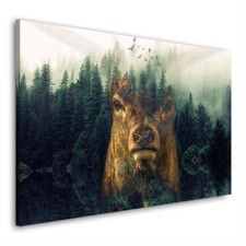 Quadro moderno stampa su tela