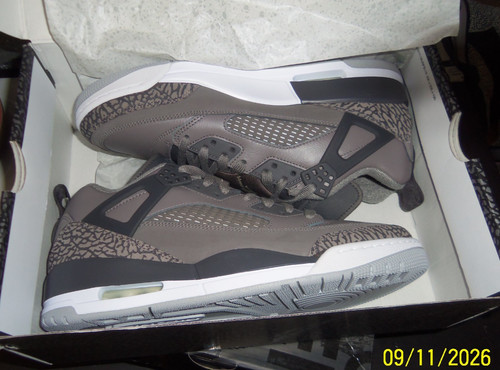 Nike air jordan spizike - nike, low