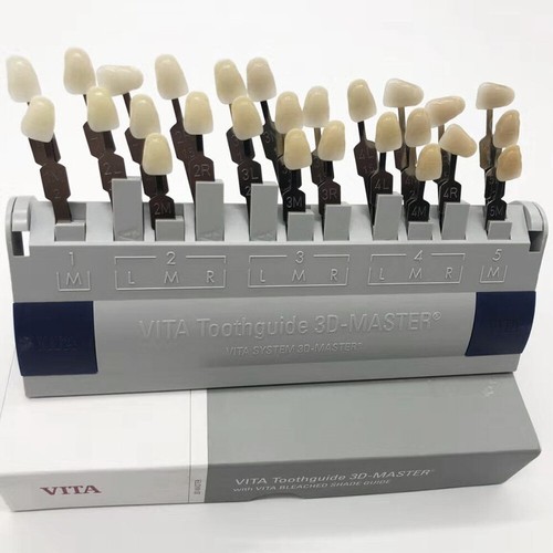 Vita guida dentistica - guida, dentale