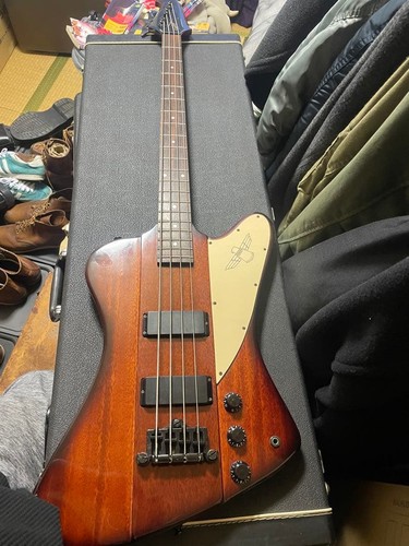 Epiphone thunderbird case - thunderbird, no