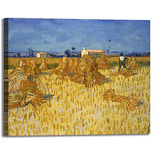 Van Gogh mietitura grano