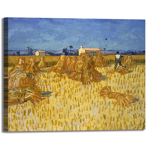 Van gogh mietitura - van,