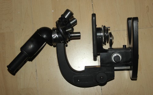 Zeiss stereomicroscopio