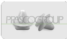 CLIPS FISSAGGIO MODANATURE (12