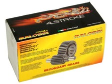 Ingranaggio Secondario Malossi