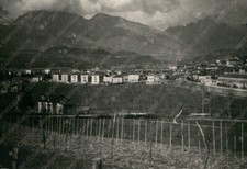 1954 FELTRE Parte città
