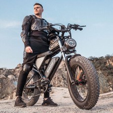 Bicicletta elettrica 20