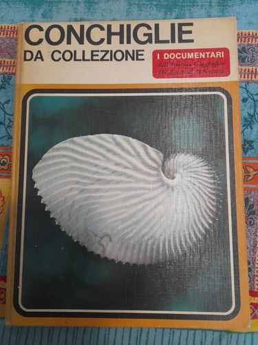 Volume conchiglie - volume,