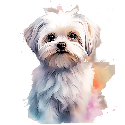 Adesivo auto maltese cani