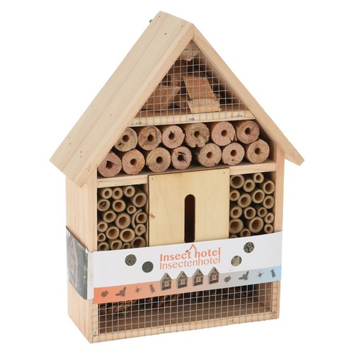 Insetto legno hotel - insetto,