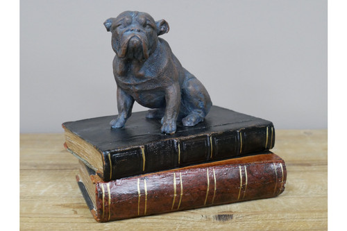 Bulldog sui libri - ornamento, |