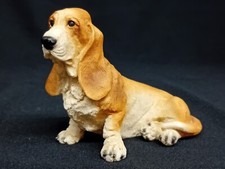 *Bassett Hound. Tan & White