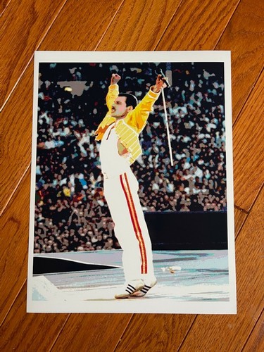 Foto stampa artistica - , freddie
