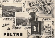 182/SALUTI DA - FELTRE (BELLUNO) - VEDUTINE