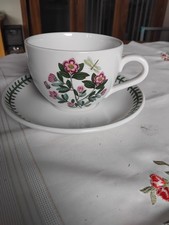 Portmeirion Botanic Garden