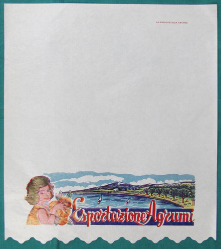 Velina copricassetta - velina,