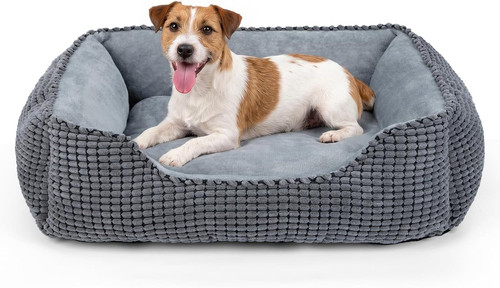Cuccia cane interno - cuccia, interno,