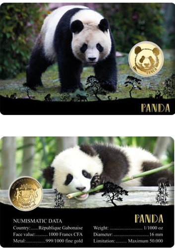 Big five asia animal panda - of,