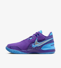 Nike Zoom LeBron NXXT Gen AMPD