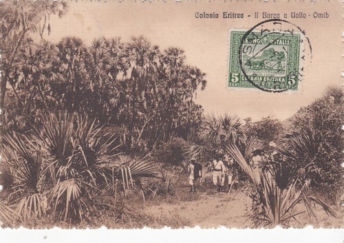 1917 eritrea storia - 1917,