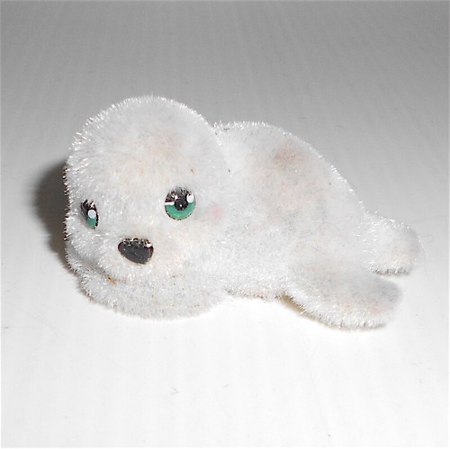 Seal baby foca cucciolo - seal,