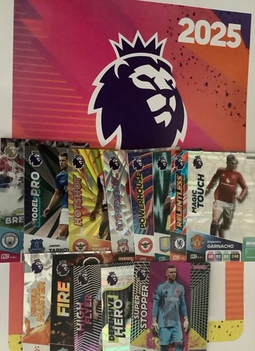 Panini adrenalyn premier - panini,