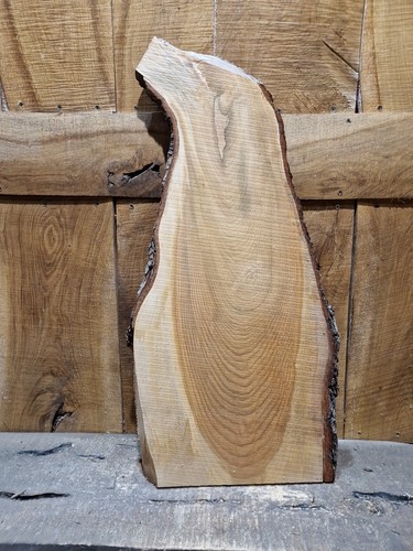 Lastra cedro bordo vivo - cedro,