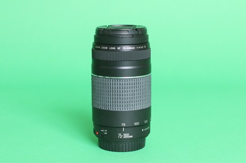 Canon 300 4 5 - mm, f/4-5.6