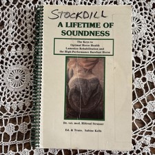 A Lifetime of Soundness