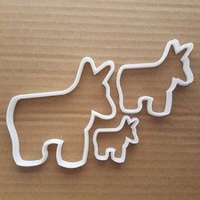 Asino mulo culo pony forma