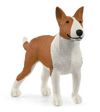 Bull terrier miniatura - bull,
