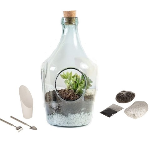 Terrario bottle garden holed - bottle,