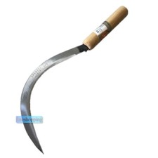 Falce falciola dentata